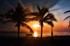 beach-beach-sunset-bench-221387